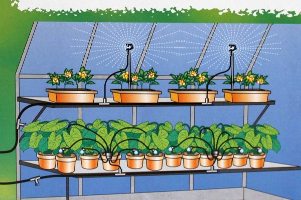 CASTO Bewässerungsset für 24 Pflanzen Gewächshaus Tropfsystem/Sprühsystem 520062