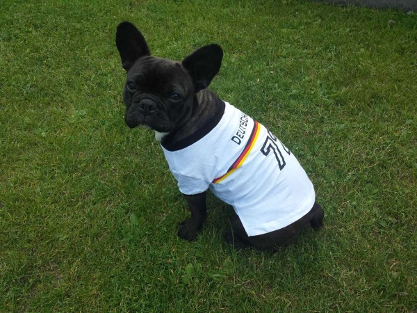 Hundetrikot Shirt Gr. M/L Trikot für Hunde Deutschland Nr. 72 Fußball WM/EM